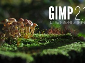 gimp 2.10