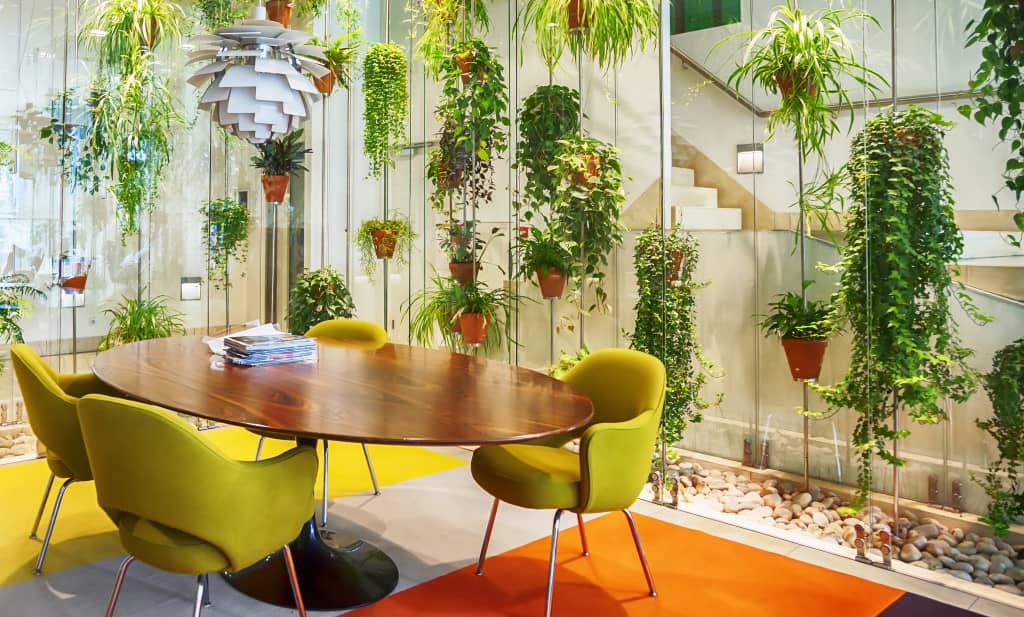 plantes vertes au bureau en entreprise