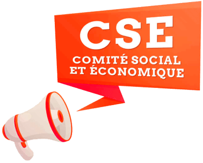 cse comite social économique