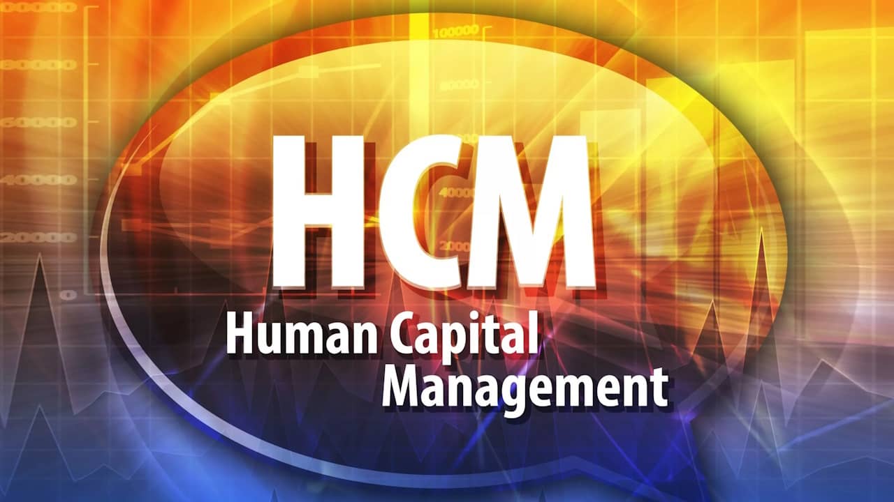 Capital humain et performance RH : l'impact positif du logiciel HCM