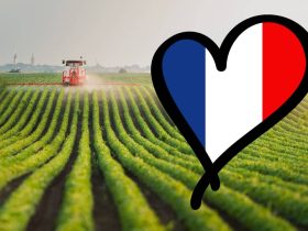 Pourquoi soutenir l’industrie agroalimentaire française ?