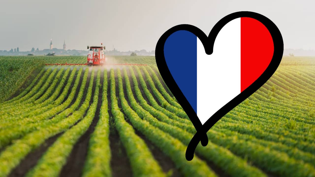 Pourquoi soutenir l’industrie agroalimentaire française ?