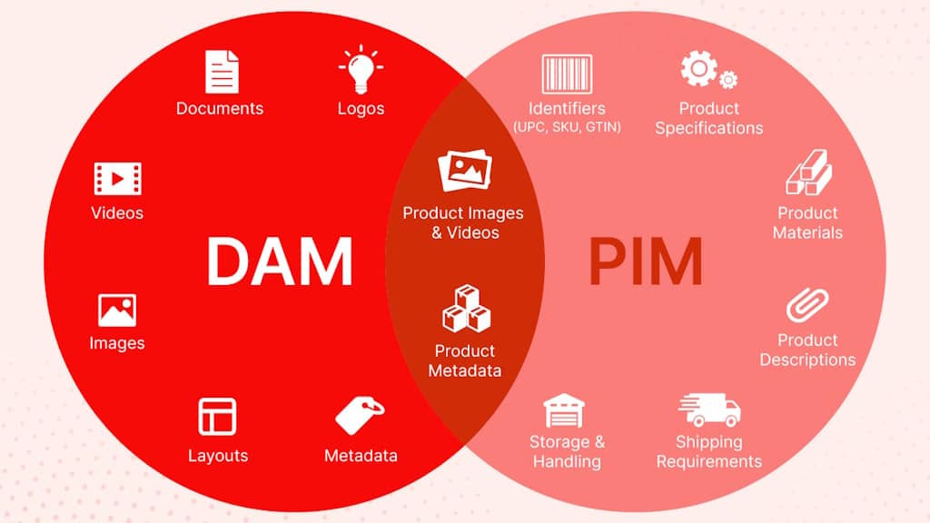 Logiciels PIM et DAM : différences