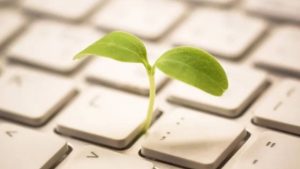Création de site internet éco-responsable : guide et conseils