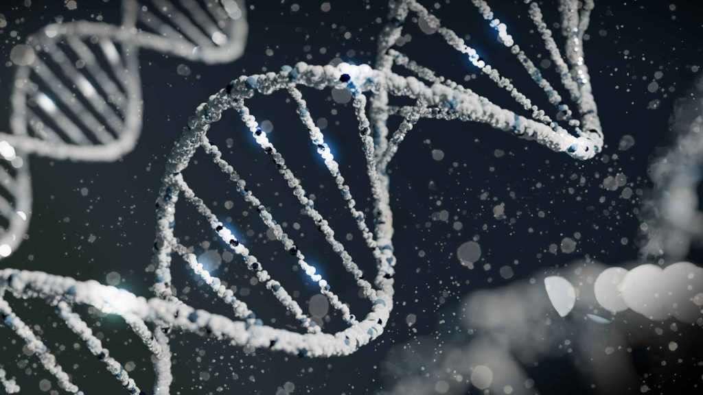 Le secteur de la biotechnologie