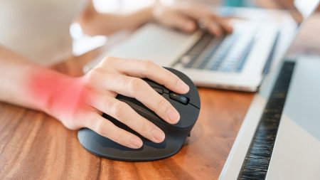 entreprise souris ergonomique