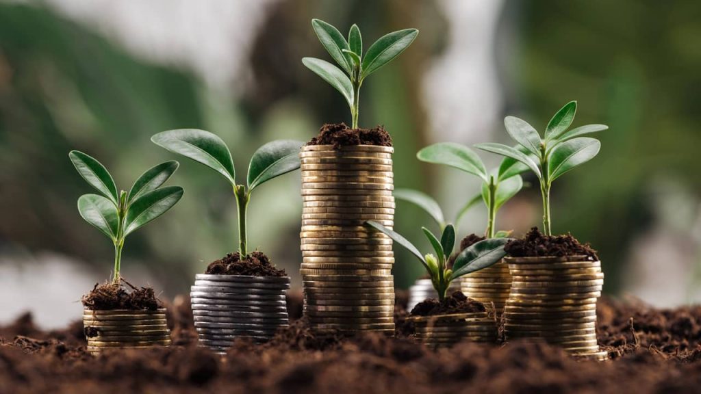concept investissement argent